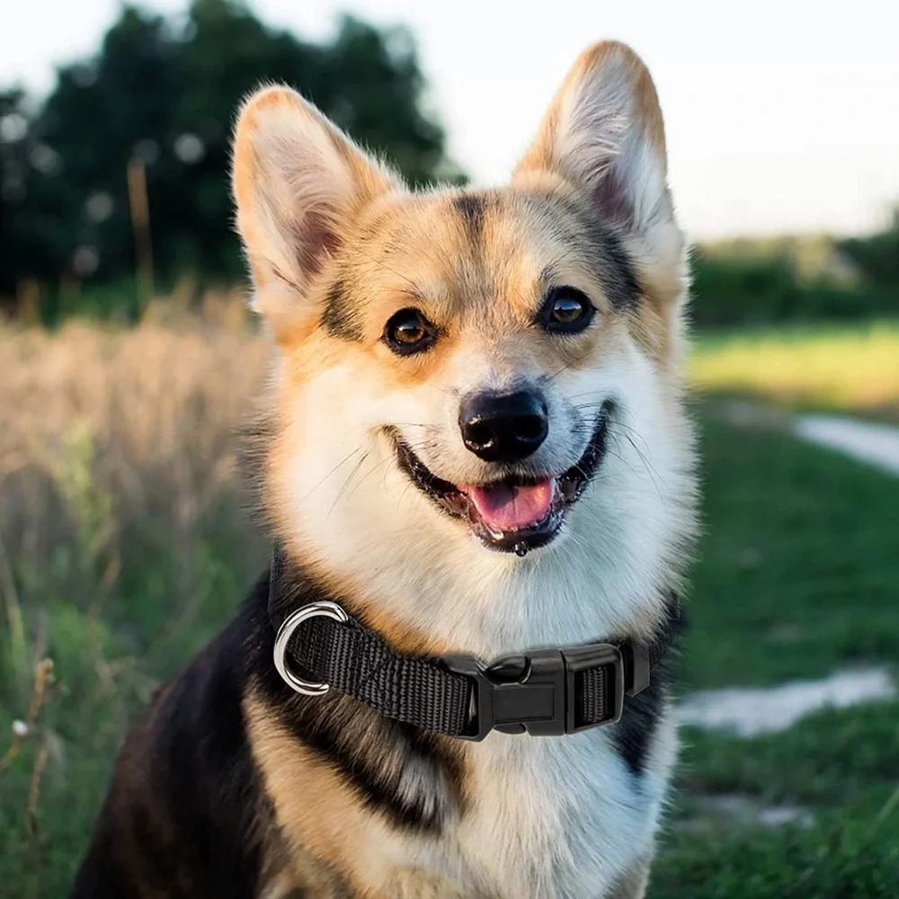 NEW! Dog Poop Bag Holder for Leash and 2 dog collar (Black)